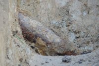  Fot. KPP w Cieszynie