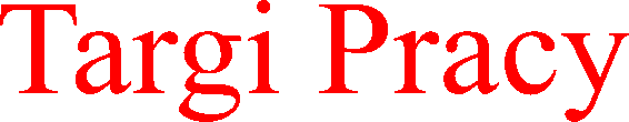 Targi Pracy
